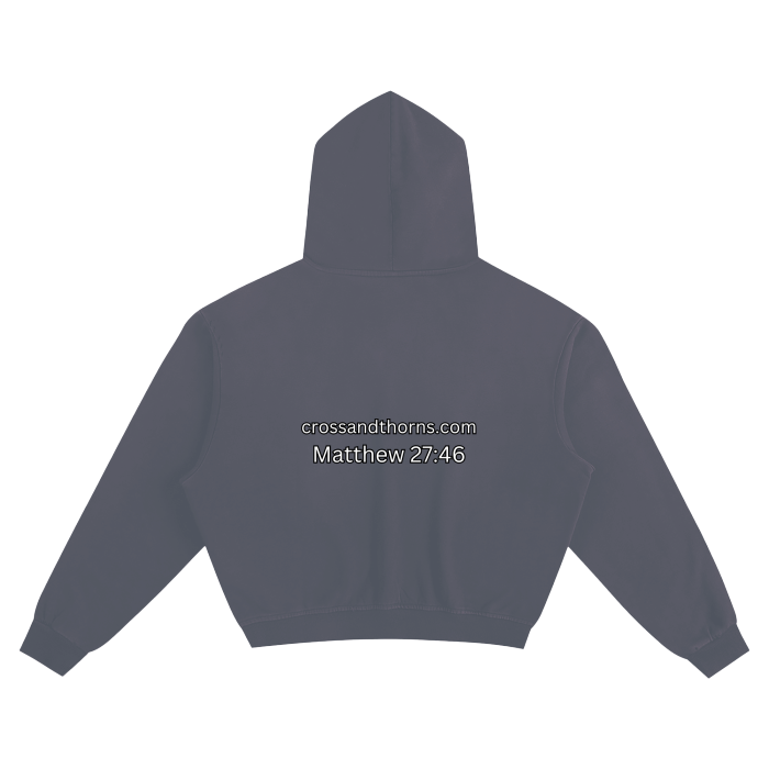 Matthew 27:46 (Hoodie)